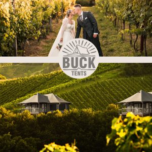 Safari Tent Vineyard