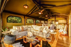 Glamping Safari Tents
